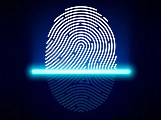 Ultrasonic fingerprint module folding screen phone vivo X Fold revealed